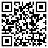 侠盗猎车手秘籍大全LocalAI