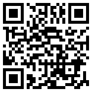 轻量版app