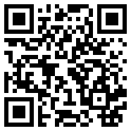 搏击长空:风暴特工队