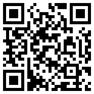 Divirtual汉化版