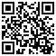 恶霸鲁尼手机版汉化版安卓破解Web1.0版