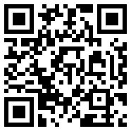 videoLeap