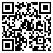 侠盗魅影下载